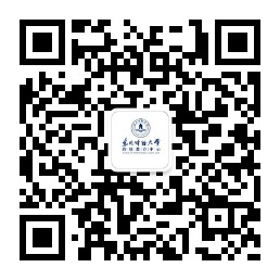 c08a53c53dccf74736ce97ba300e9a3.jpg